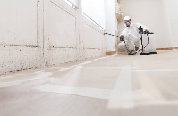 24/7 Emergency Attic Mold Remediation experts in Oak Ridge, FL
